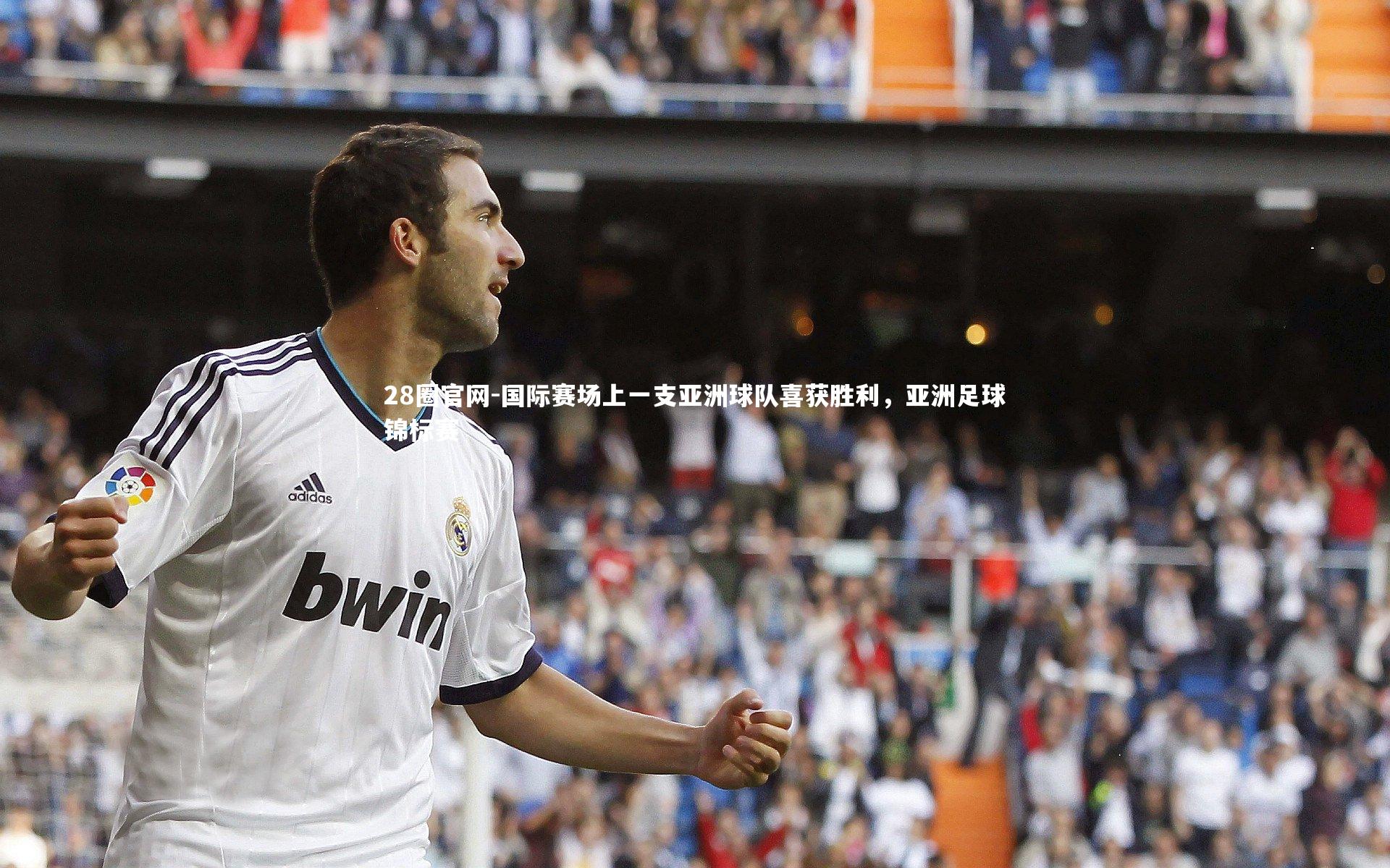 国际赛场上一支亚洲球队喜获胜利，亚洲足球锦标赛