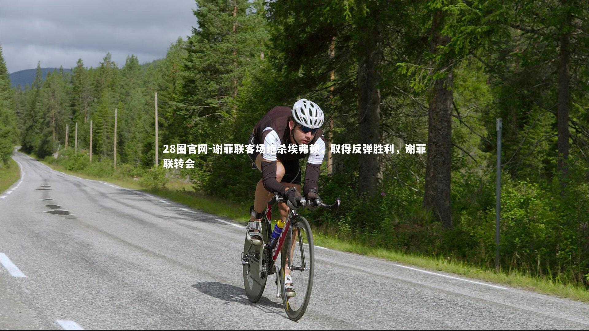 谢菲联客场绝杀埃弗顿，取得反弹胜利，谢菲联转会