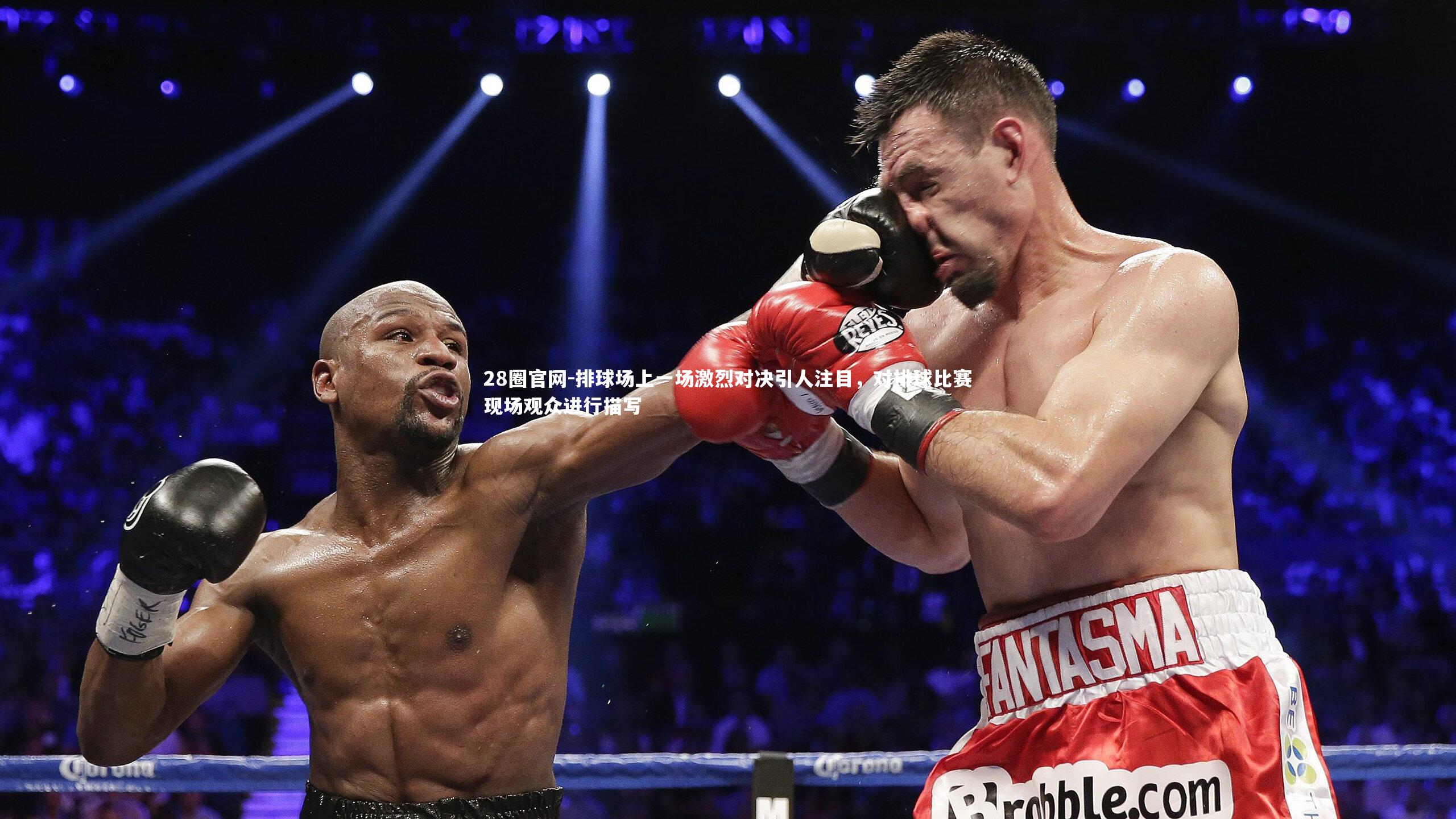 排球场上一场激烈对决引人注目，对排球比赛现场观众进行描写