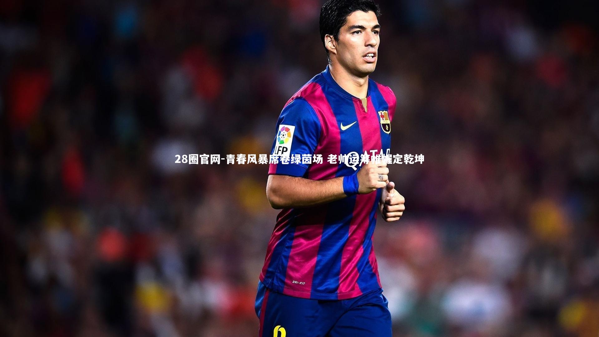 青春风暴席卷绿茵场 老帅运筹帷幄定乾坤