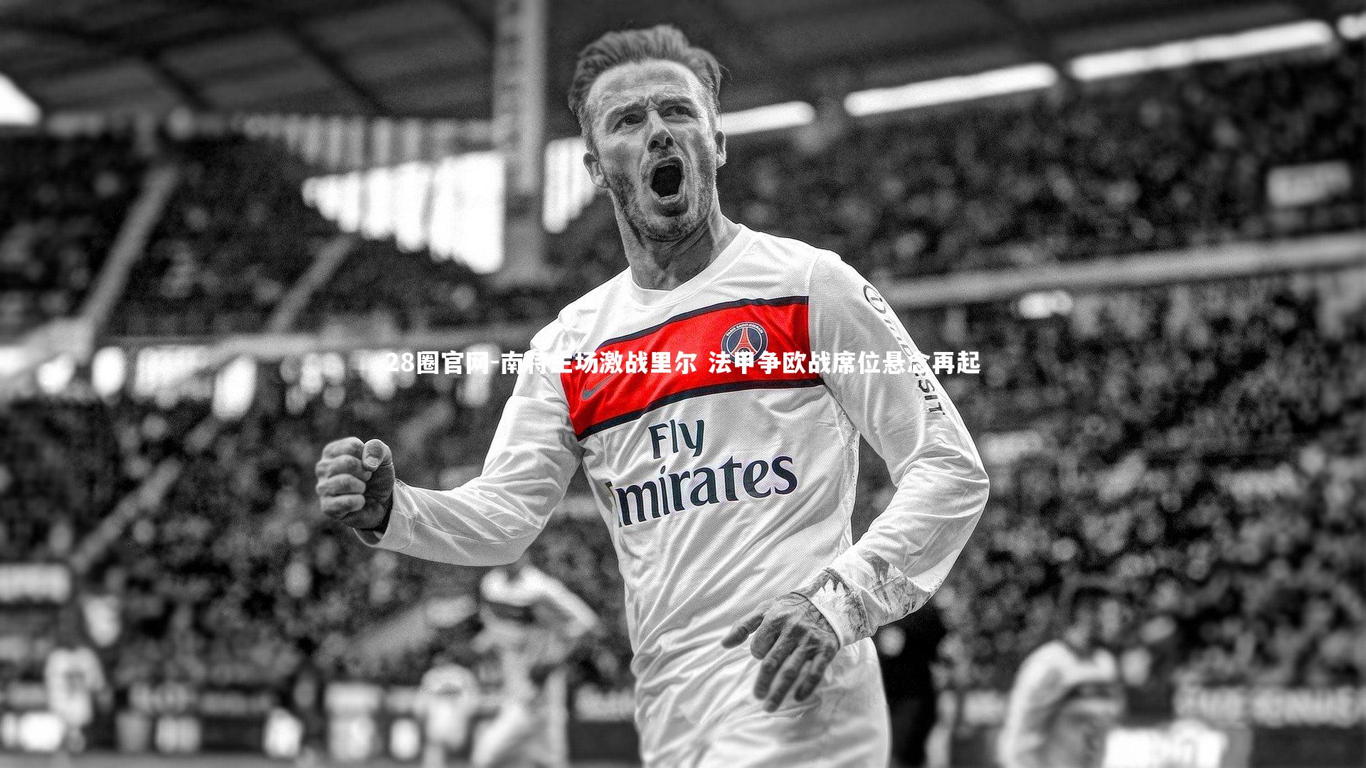 南特主场激战里尔 法甲争欧战席位悬念再起